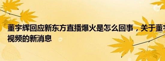 董宇辉回应新东方直播爆火是怎么回事，关于董宇辉新东方视频的新消息