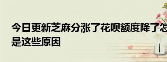 今日更新芝麻分涨了花呗额度降了怎么回事 是这些原因