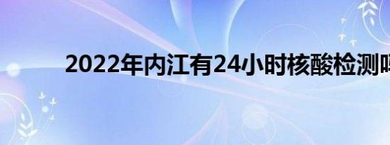 2022年内江有24小时核酸检测吗