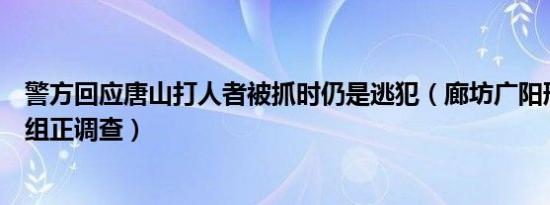 警方回应唐山打人者被抓时仍是逃犯（廊坊广阳刑警：专案组正调查）