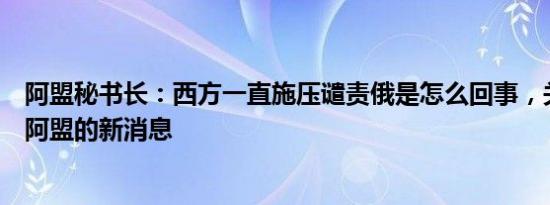 阿盟秘书长：西方一直施压谴责俄是怎么回事，关于俄罗斯阿盟的新消息