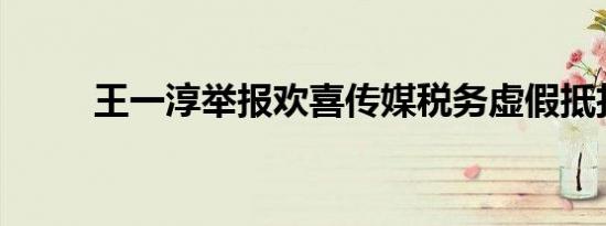 王一淳举报欢喜传媒税务虚假抵扣