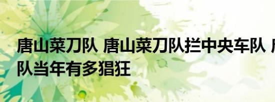 唐山菜刀队 唐山菜刀队拦中央车队 唐山菜刀队当年有多猖狂