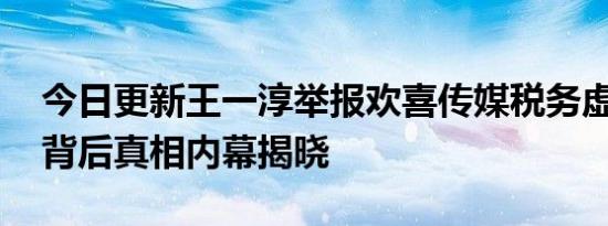 今日更新王一淳举报欢喜传媒税务虚假抵扣 背后真相内幕揭晓