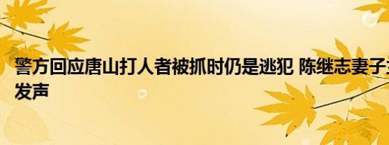 警方回应唐山打人者被抓时仍是逃犯 陈继志妻子兰东为事件发声