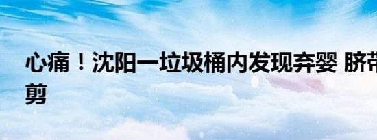 心痛！沈阳一垃圾桶内发现弃婴 脐带都还没剪
