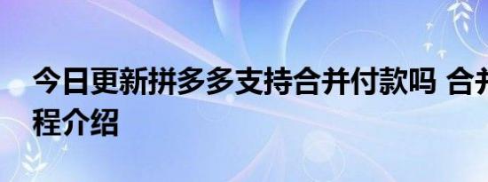 今日更新拼多多支持合并付款吗 合并付款流程介绍