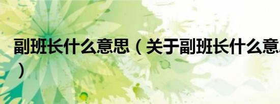 副班长什么意思（关于副班长什么意思的介绍）
