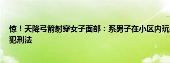 惊！天降弓箭射穿女子面部：系男子在小区内玩射箭  已触犯刑法