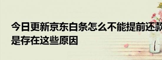 今日更新京东白条怎么不能提前还款了 或许是存在这些原因