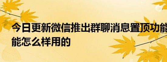 今日更新微信推出群聊消息置顶功能 这个功能怎么样用的