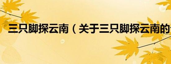 三只脚探云南（关于三只脚探云南的介绍）