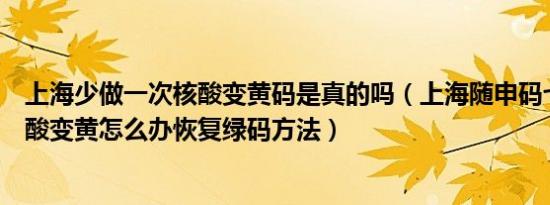上海少做一次核酸变黄码是真的吗（上海随申码七天没做核酸变黄怎么办恢复绿码方法）
