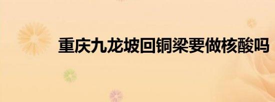 重庆九龙坡回铜梁要做核酸吗