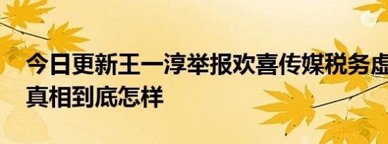 今日更新王一淳举报欢喜传媒税务虚假抵扣 真相到底怎样