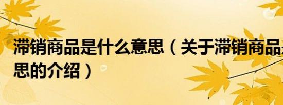 滞销商品是什么意思（关于滞销商品是什么意思的介绍）