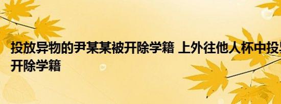 投放异物的尹某某被开除学籍 上外往他人杯中投异物学生被开除学籍