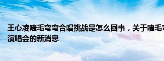 王心凌睫毛弯弯合唱挑战是怎么回事，关于睫毛弯弯王心凌演唱会的新消息