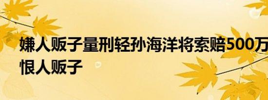 嫌人贩子量刑轻孙海洋将索赔500万 十分痛恨人贩子