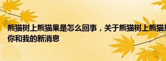 熊猫树上熊猫果是怎么回事，关于熊猫树上熊猫果熊猫树下你和我的新消息