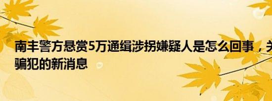 南丰警方悬赏5万通缉涉拐嫌疑人是怎么回事，关于丰南诈骗犯的新消息
