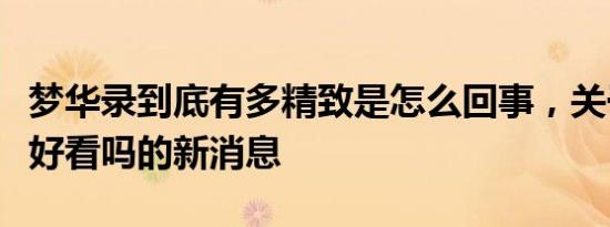 梦华录到底有多精致是怎么回事，关于梦华录好看吗的新消息