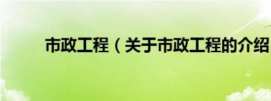 市政工程（关于市政工程的介绍）