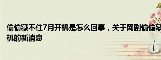 偷偷藏不住7月开机是怎么回事，关于网剧偷偷藏不住7月开机的新消息