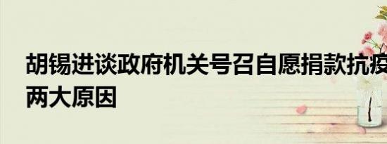 胡锡进谈政府机关号召自愿捐款抗疫 主要有两大原因