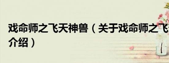 戏命师之飞天神兽（关于戏命师之飞天神兽的介绍）