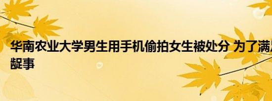 华南农业大学男生用手机偷拍女生被处分 为了满足私欲做龌龊事