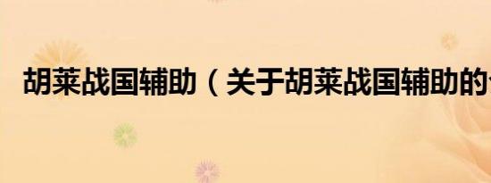 胡莱战国辅助（关于胡莱战国辅助的介绍）