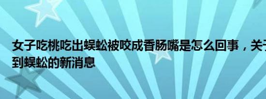 女子吃桃吃出蜈蚣被咬成香肠嘴是怎么回事，关于吃桃子吃到蜈蚣的新消息