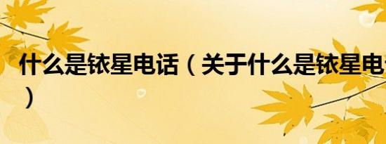 什么是铱星电话（关于什么是铱星电话的介绍）