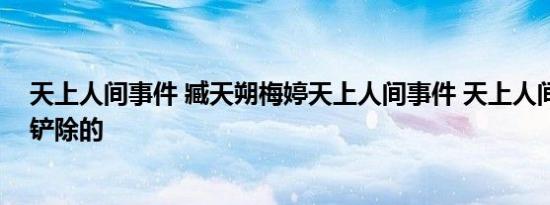 天上人间事件 臧天朔梅婷天上人间事件 天上人间事件怎么铲除的
