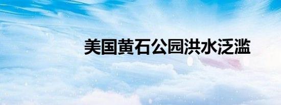 美国黄石公园洪水泛滥