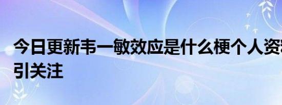 今日更新韦一敏效应是什么梗个人资料及意思引关注