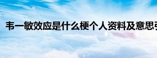 韦一敏效应是什么梗个人资料及意思引关注