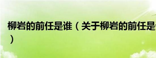 柳岩的前任是谁（关于柳岩的前任是谁的介绍）