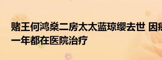 赌王何鸿燊二房太太蓝琼缨去世 因癌症过去一年都在医院治疗