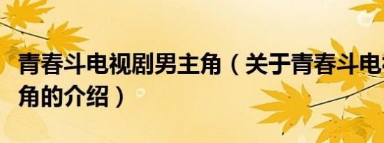 青春斗电视剧男主角（关于青春斗电视剧男主角的介绍）