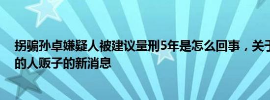 拐骗孙卓嫌疑人被建议量刑5年是怎么回事，关于拐卖孙卓的人贩子的新消息