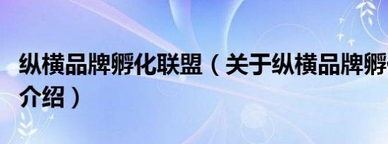 纵横品牌孵化联盟（关于纵横品牌孵化联盟的介绍）