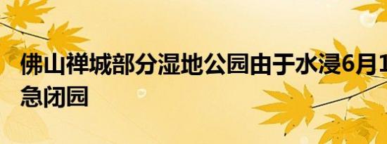 佛山禅城部分湿地公园由于水浸6月14日起紧急闭园