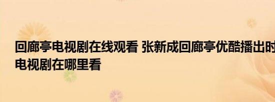 回廊亭电视剧在线观看 张新成回廊亭优酷播出时间 回廊亭电视剧在哪里看