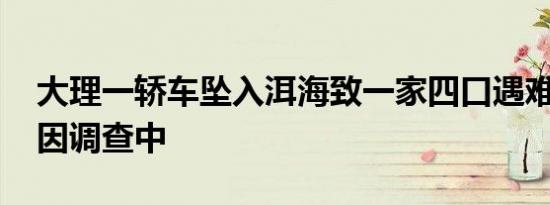 大理一轿车坠入洱海致一家四口遇难 事故原因调查中