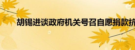 胡锡进谈政府机关号召自愿捐款抗疫