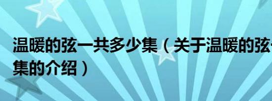 温暖的弦一共多少集（关于温暖的弦一共多少集的介绍）