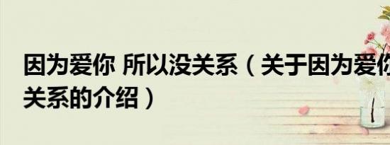 因为爱你 所以没关系（关于因为爱你 所以没关系的介绍）