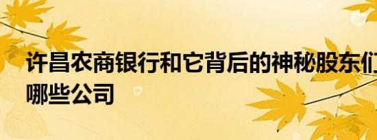 许昌农商银行和它背后的神秘股东们 牵扯出哪些公司